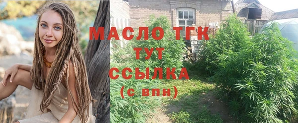 стаф Магас