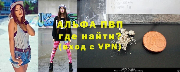 стаф Магас