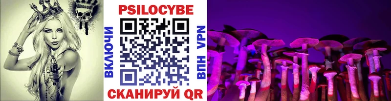блэк спрут ТОР  Ставрополь  Псилоцибиновые грибы мицелий 