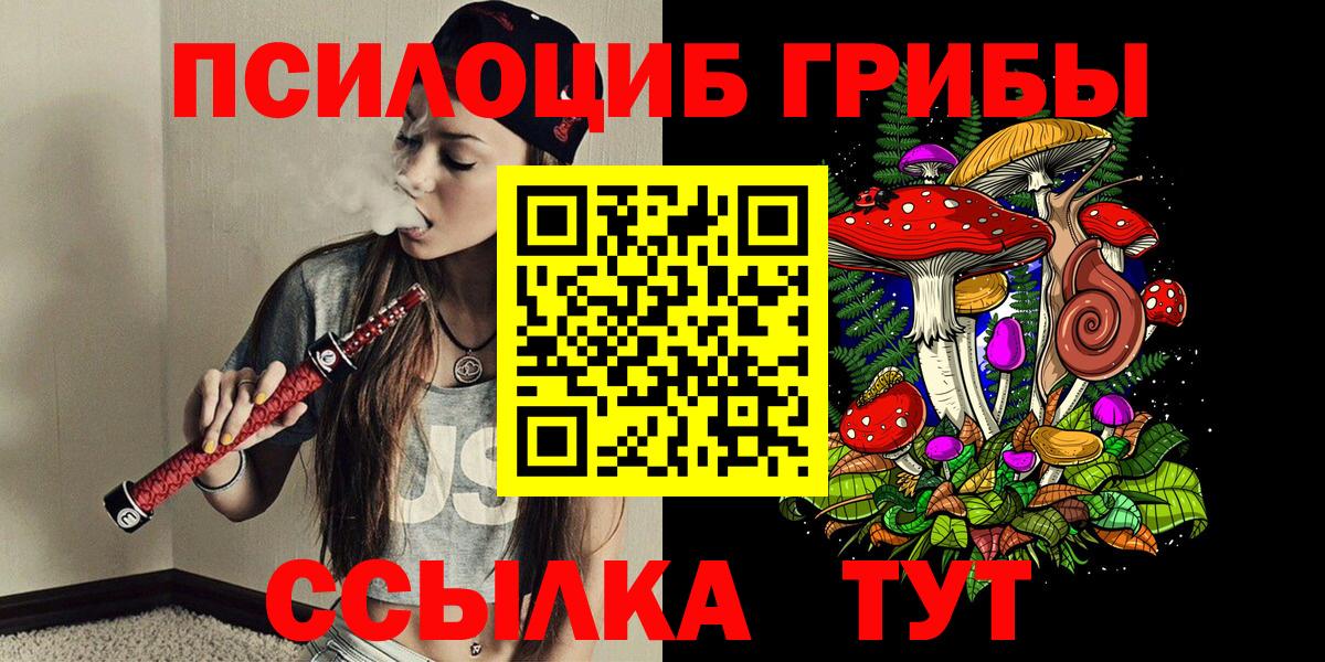 Галлюциногенные грибы мицелий  Галлюциногенные грибы мицелий  Вход с VPN  Ставрополь 