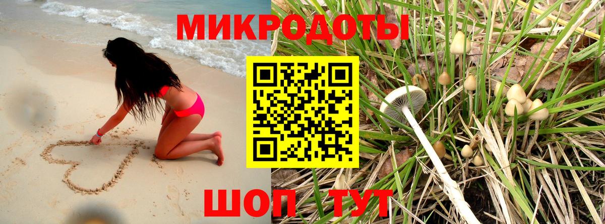 Галлюциногенные грибы мицелий  цена   Ставрополь 