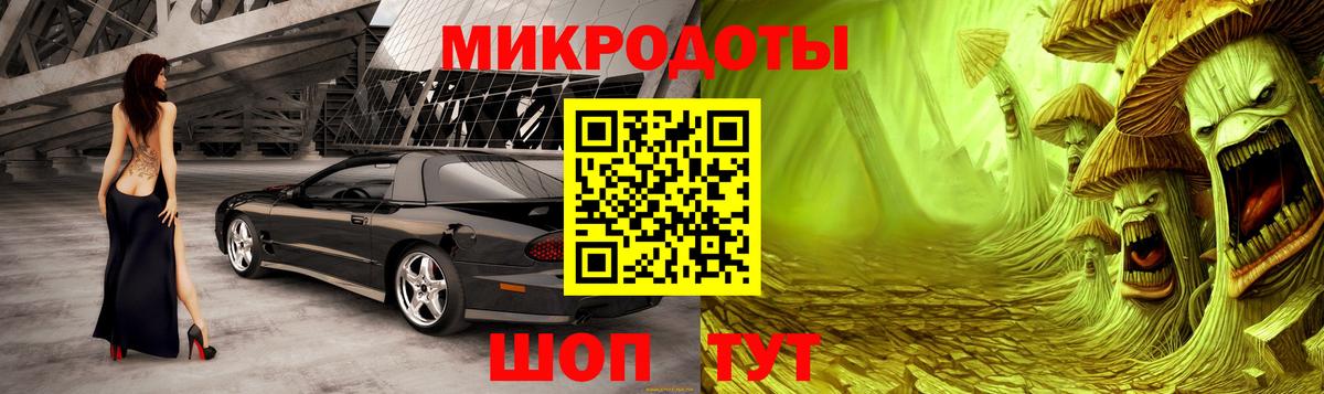 Галлюциногенные грибы GOLDEN TEACHER Ставрополь